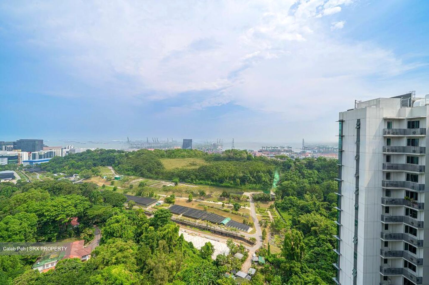 Normanton Park (D5), Apartment #578358631